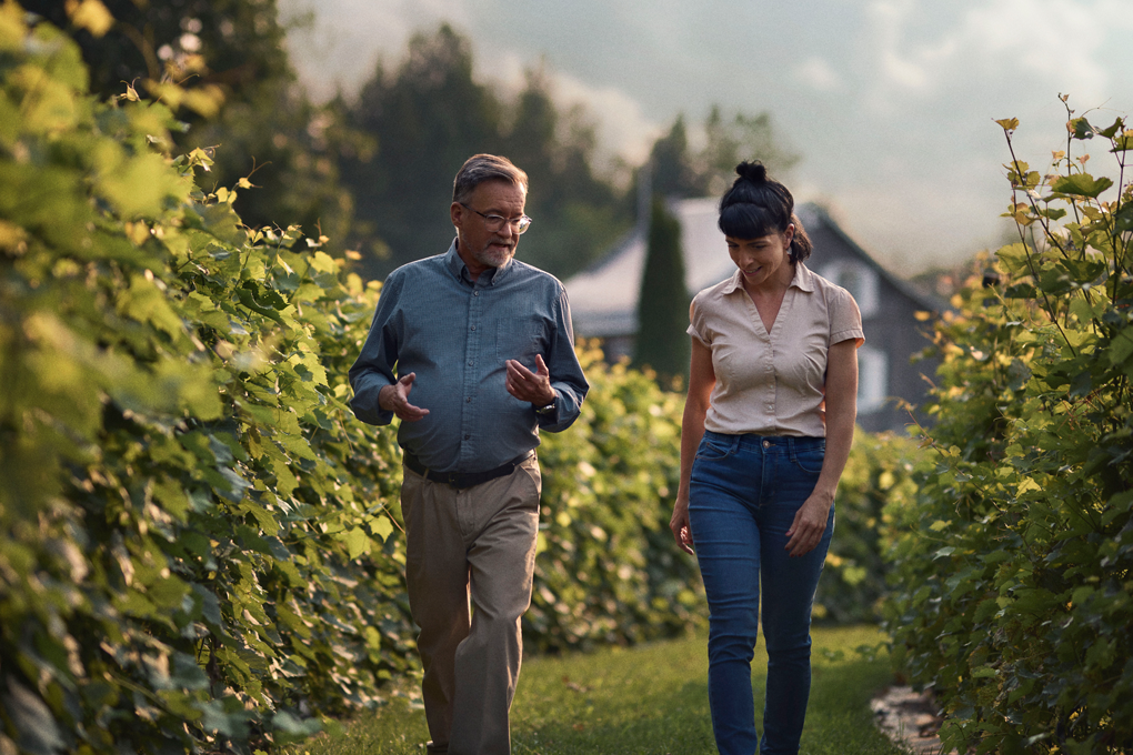 Image vignoble Deux personnes marchent dans un vignoble sous un ciel nuageux.